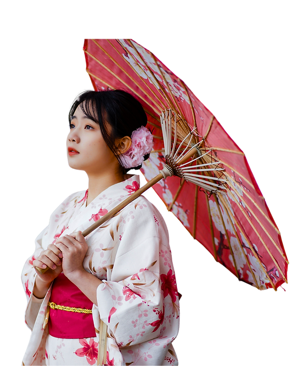 geisha_home page_wix.png