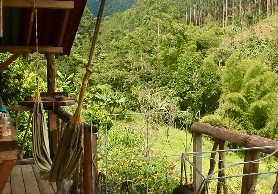 creo ecolodge jardin