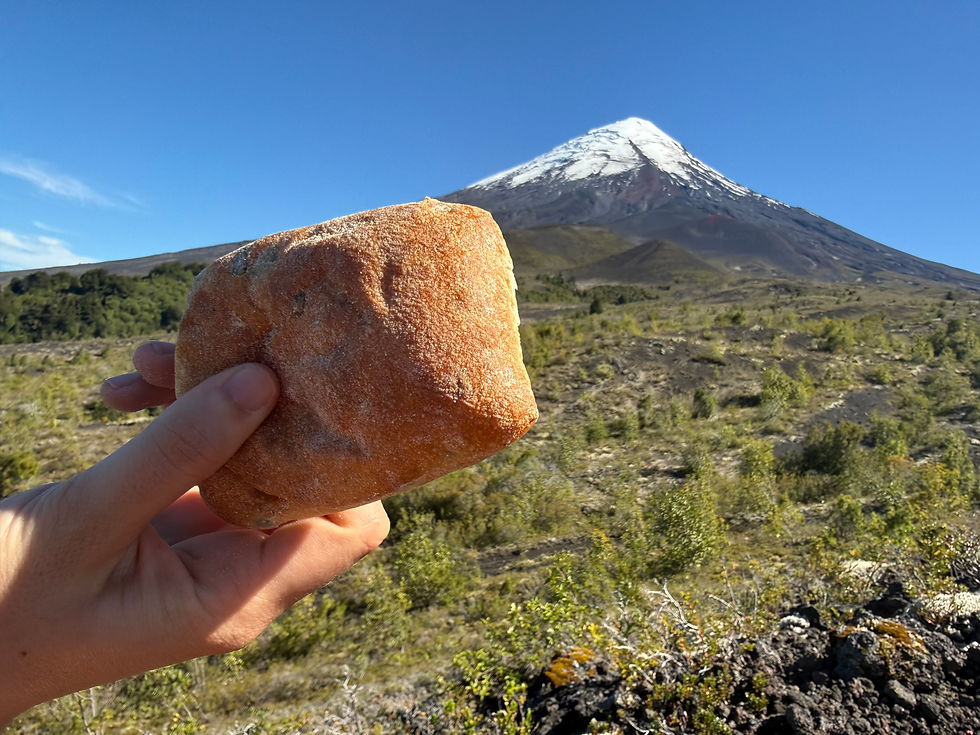 Olive bread by Volcán Osorno. 4/4/2026