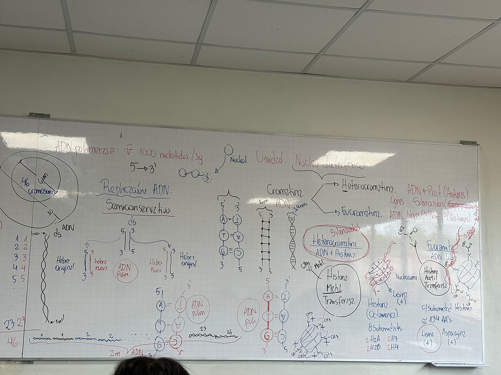 Class notes 4/14/2026