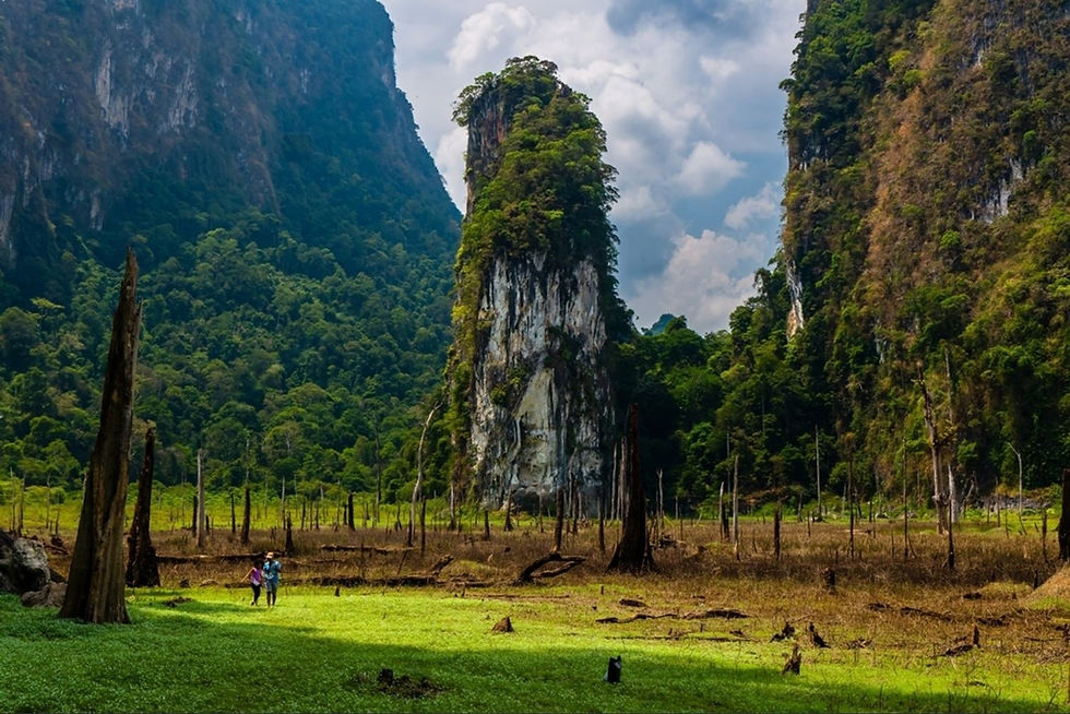A scenic boat journey through Cheow Lan Lake