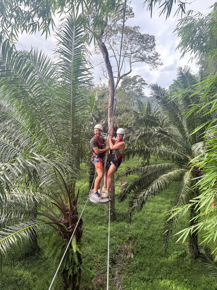 Zipline rider gliding on a cable above a dense palm canopy in Khao Sok