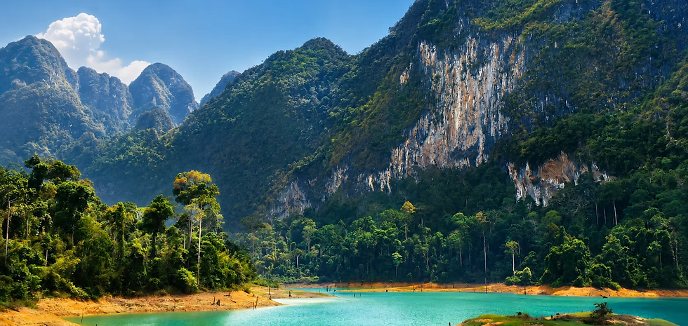 Khaosok-Jungle-Discovery.png