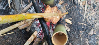 Three bamboo tubes positioned above glowing embers for traditional forest cooking