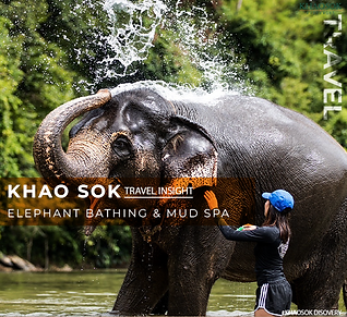 elephant_Bathing.png