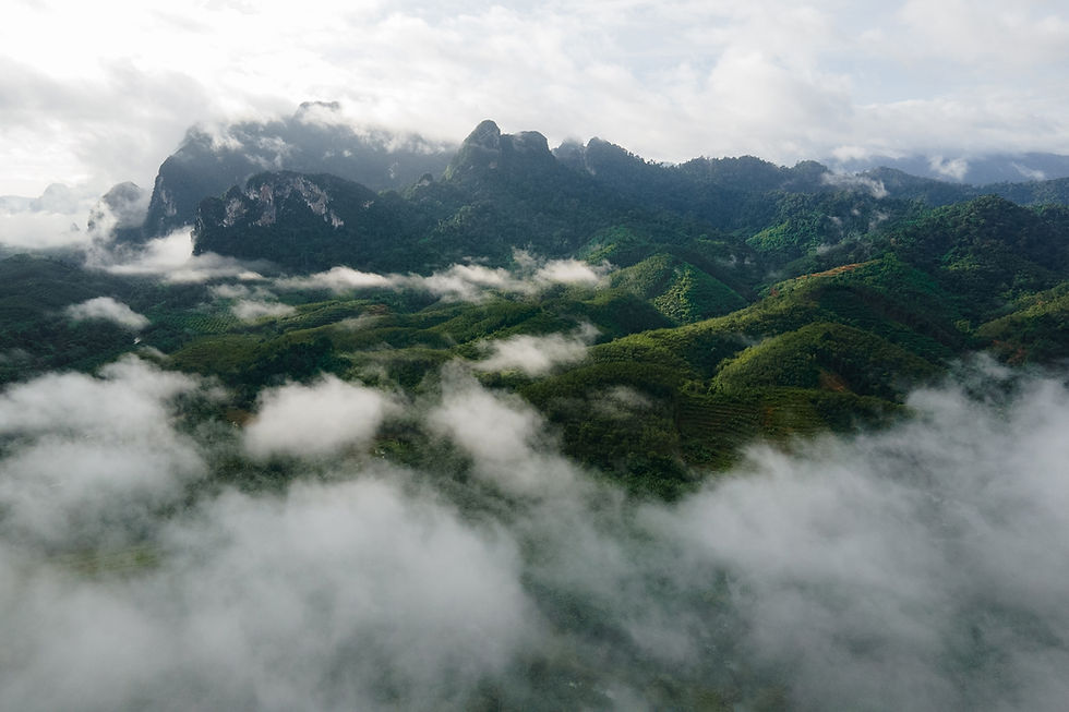 Aerial view of mist-covered limestone mountains and ancient rainforest in Khao Sok National Park, Thailand.