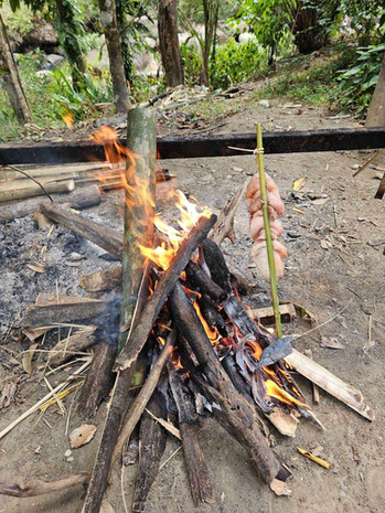 Stacked firewood burning at a rustic campsite in the Khao Sok forest