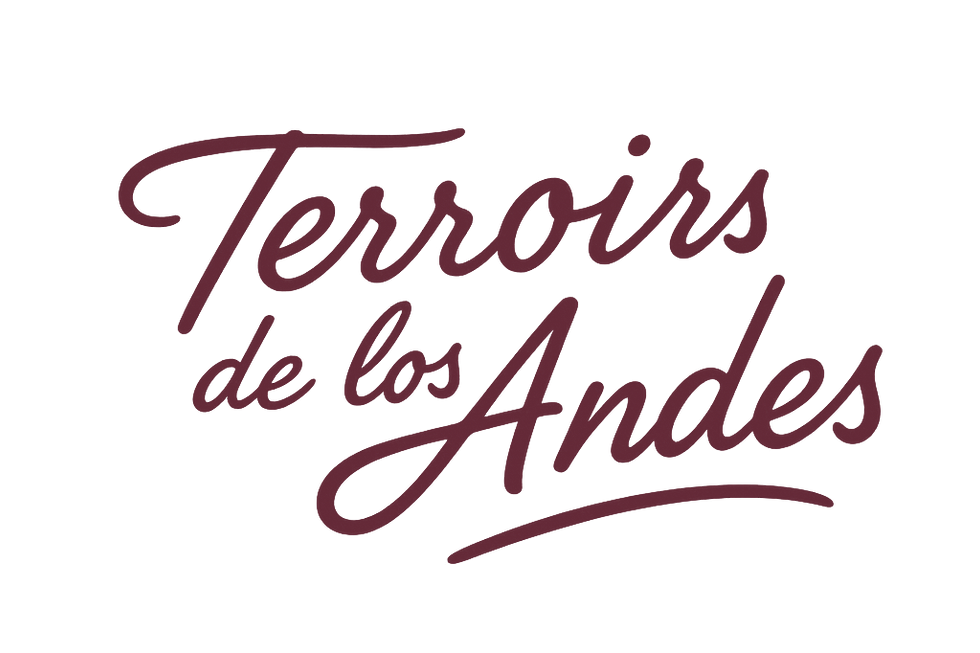 Logo terroirs de los andes