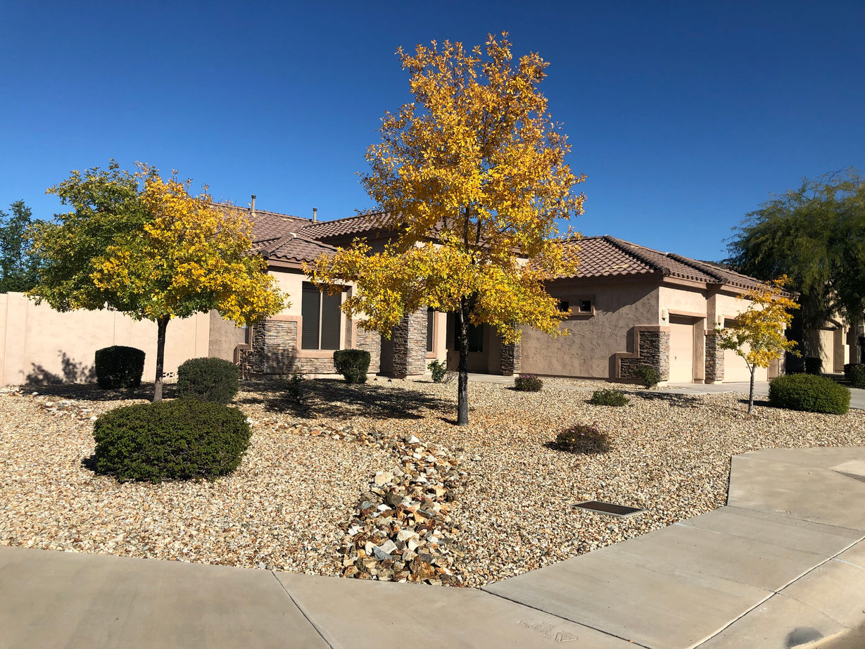 Home exterior and front yard at Desert Sanctuary Assisted Living.