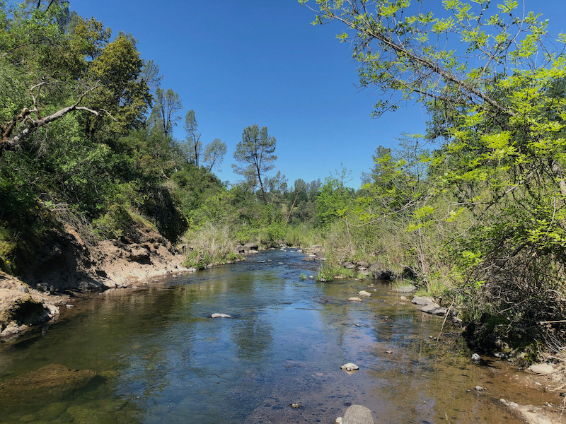 BearCreekSpring copy.jpg