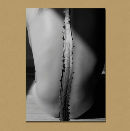 Screen Shot 2020-08-07 at 11.52.00 AM.pn