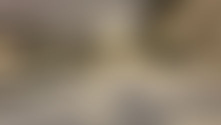 2월의 첫째주, 급식후기