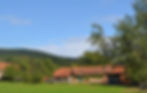 Apa Vie buildings for reno.jpeg