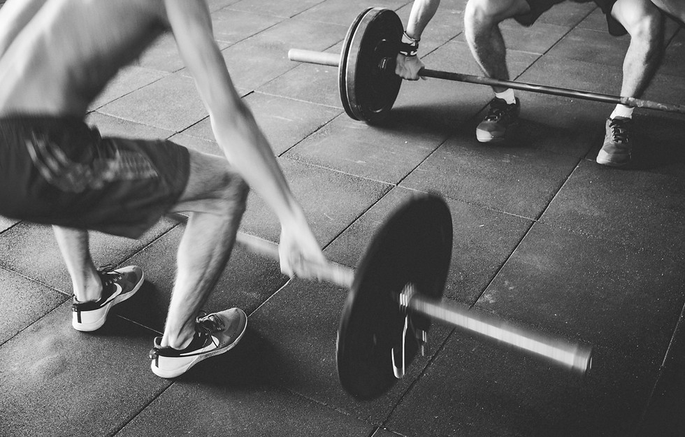 Gym Barbell Workout