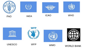 International Family of Nations: Lesson 2--United Nations