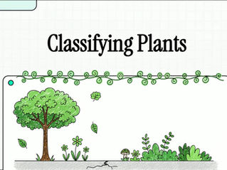 Classification of Plants 