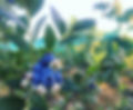 20F8CD30-38D3-42A7-B768-9EE17C6A68F6.jpg