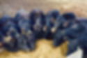 84693498_2605209906244206_66868710903644160_n.jpeg