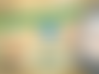 מפות במבצע עד סוף השנה