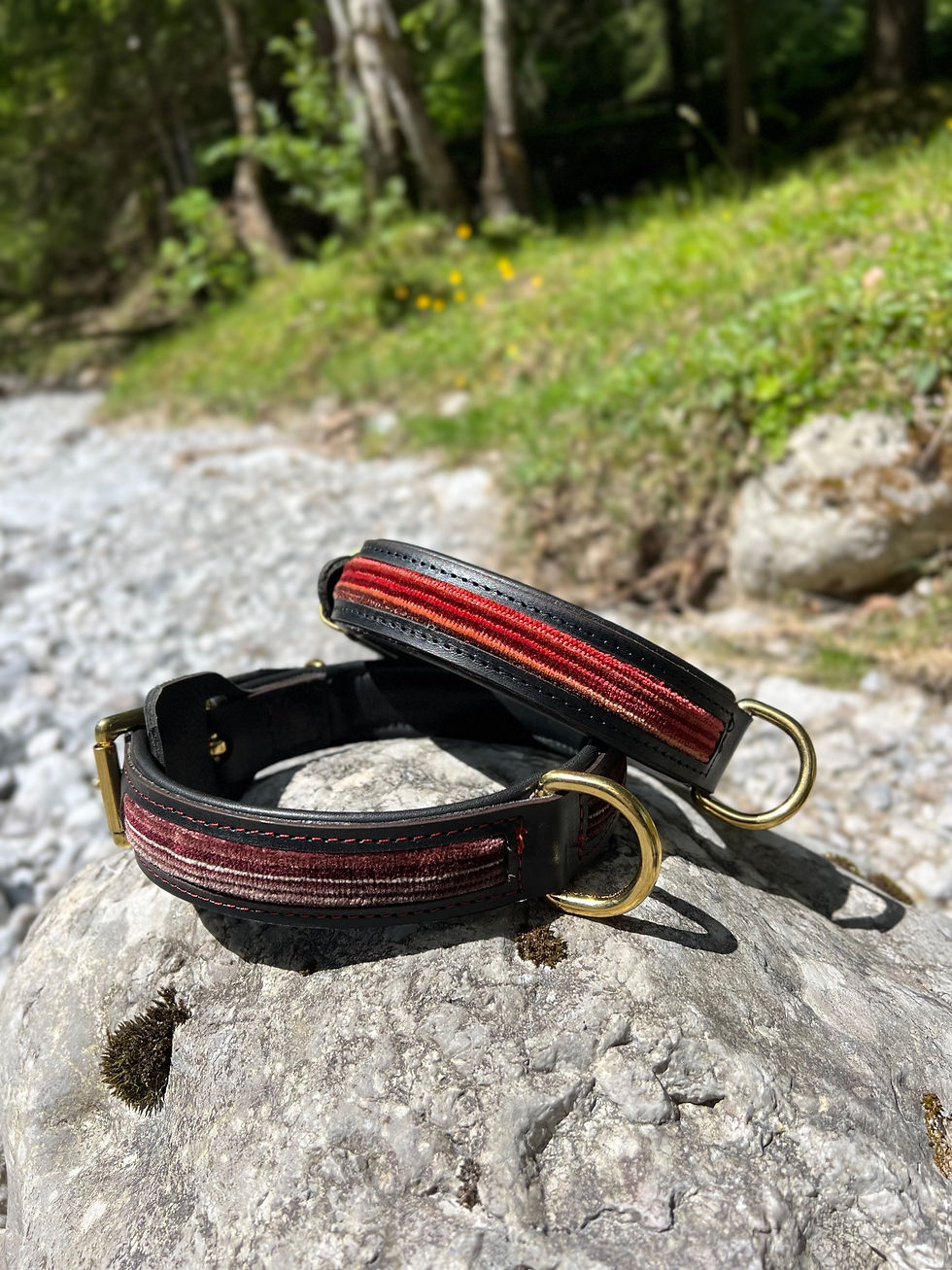 Miniaturbild: Hundehalsband Velvet Dream Weinrot