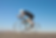 _edited.png