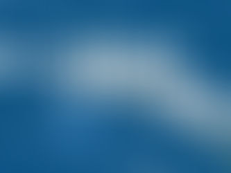 Every Role a Starring Role – Operations Support Coordinator at Disneyland Resort