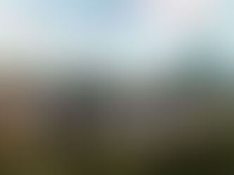 Building Batuu: Docking Bay 7 Food and Cargo