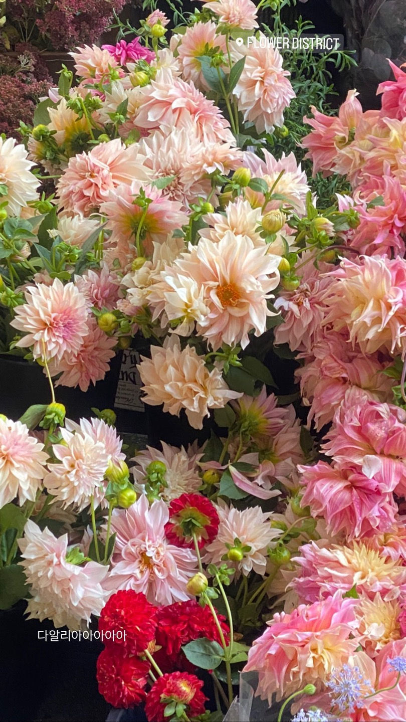 nyflower market 3