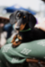 EmmaandOliverSundaybeachwalk-178