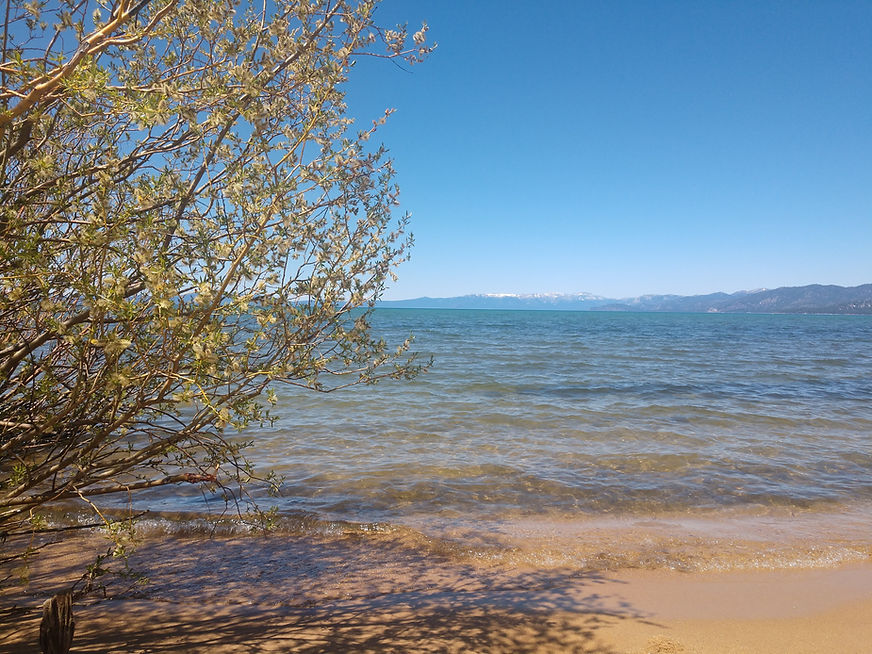 Lake Tahoe Pic.jpg