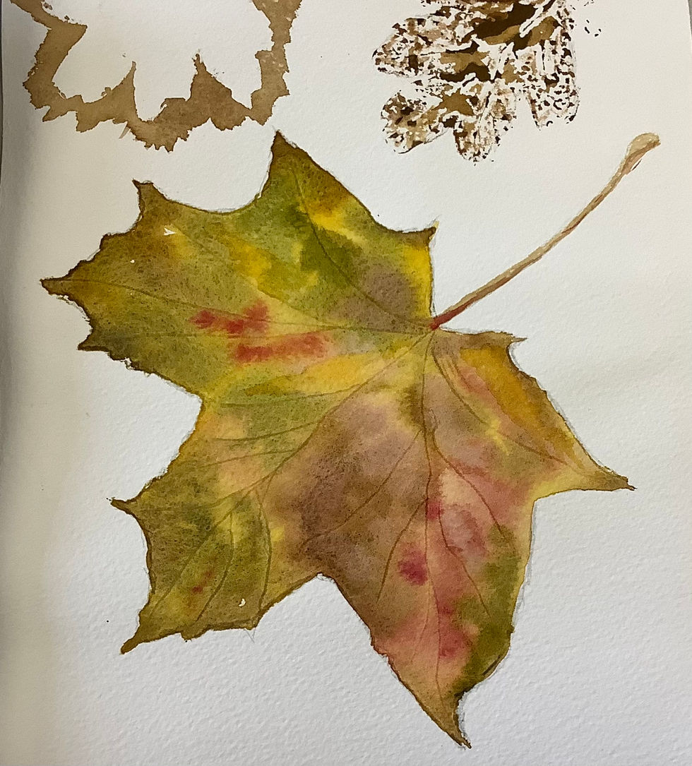 Watercolour Autumnal leaf in wet and wet and leaf print. Art classes The Clout, West Malling High Street, Kent
