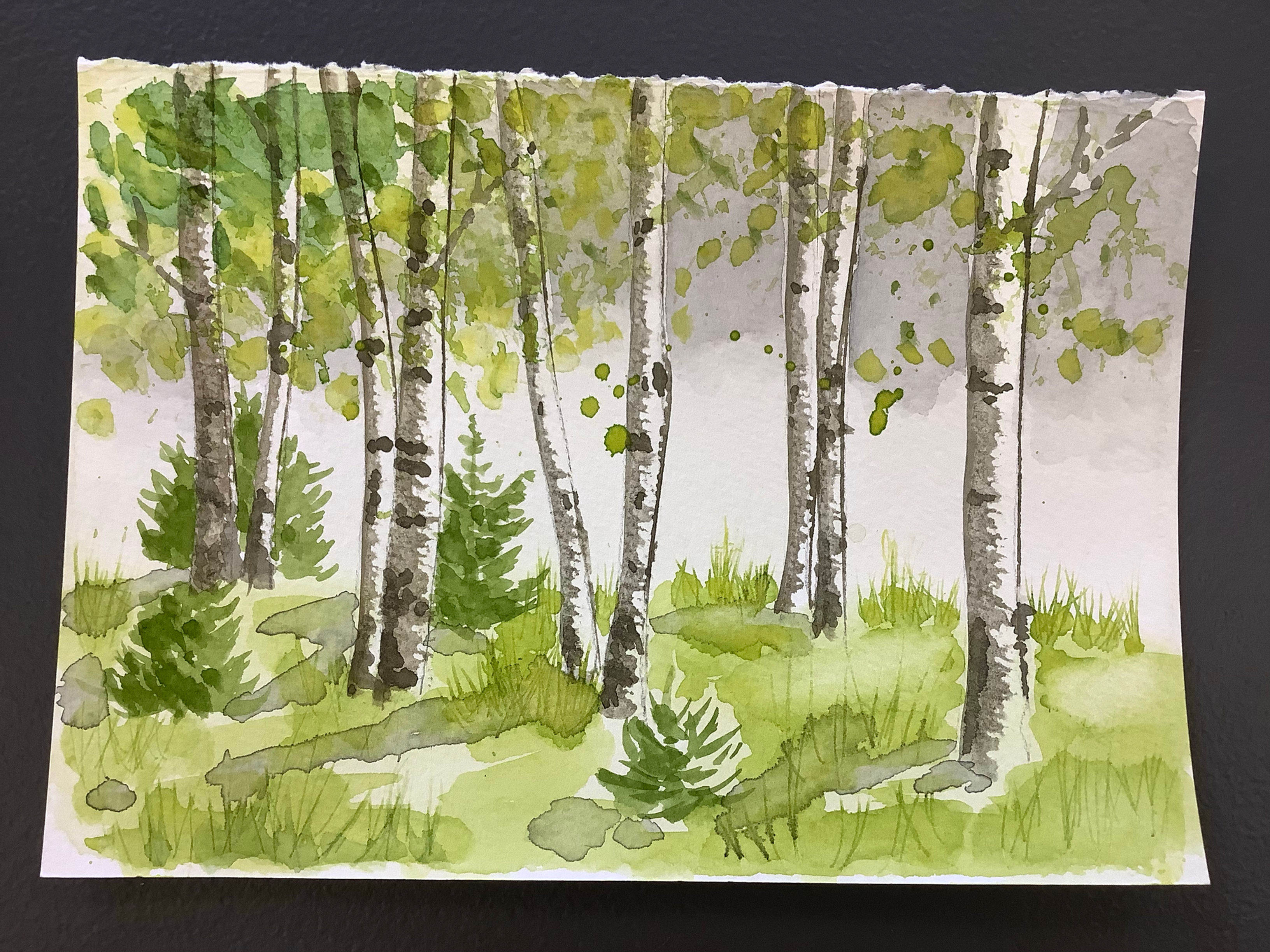 Watercolour Course Absolute Beginners
