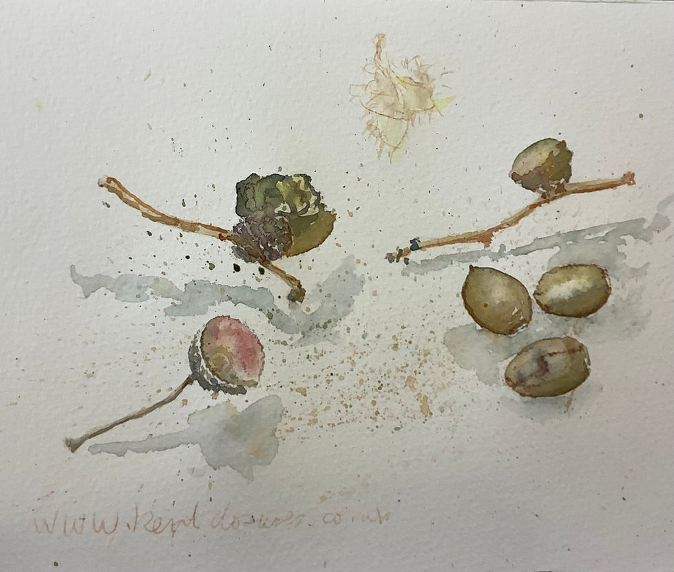 Autumnal watercolour acorns