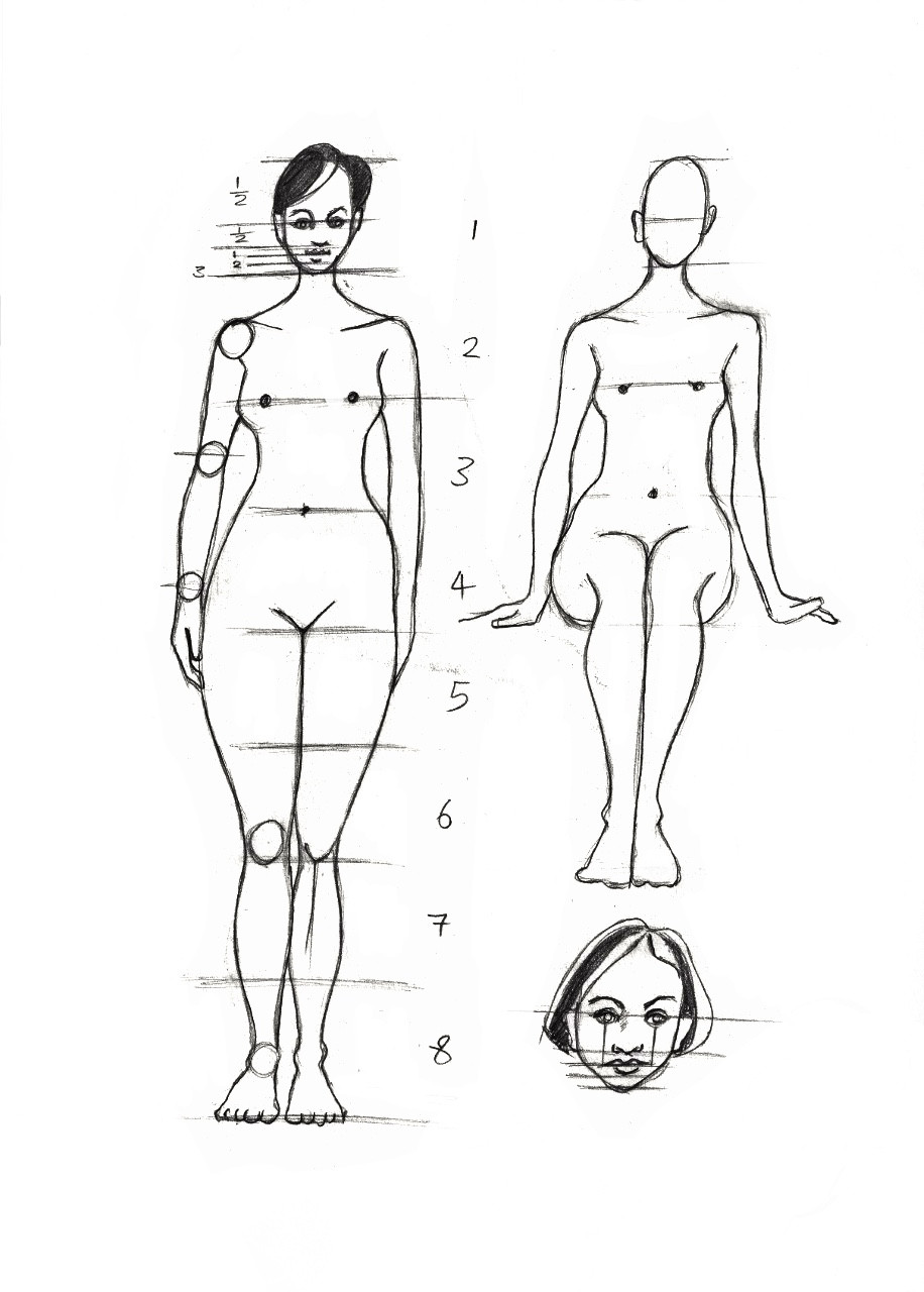 People / human figure proportions
