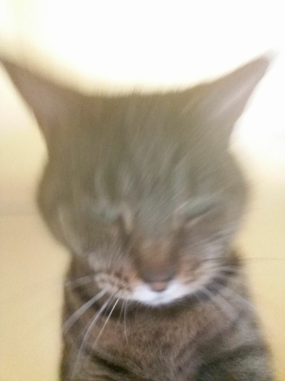 a Smonks selfie!