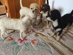 ChicktinCreations.Chihuahuas