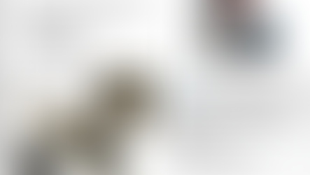 Integrated Filter Cartridge Manifold Solution