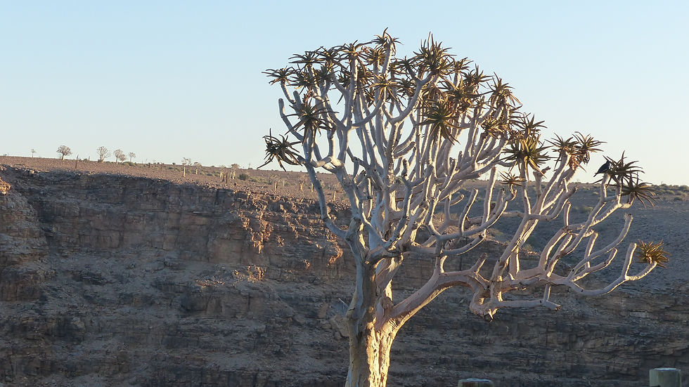 Fish River Canyon top