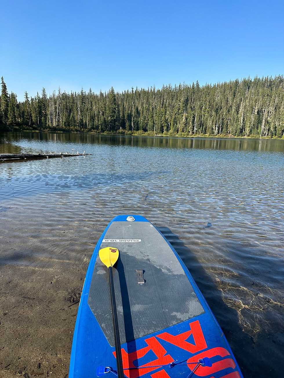SUP rental in Oakridge Oregon