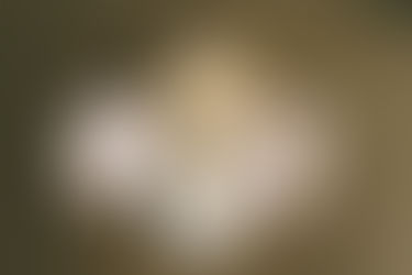 Understanding the Difference Between a Dietitian and a Nutritionist