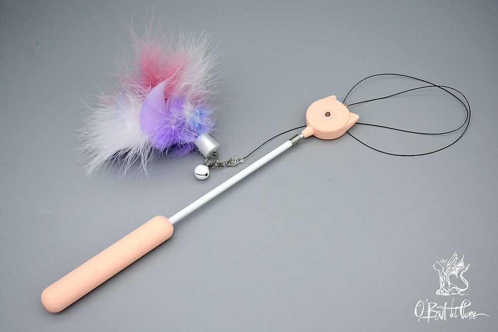 Miniatura: Maxi Plumeau tete de chat - Plumeau plumes jouet chat - O Bout de la Plume