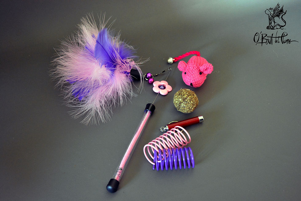 Miniature : Kit pour chat / chaton - ELEVEURS