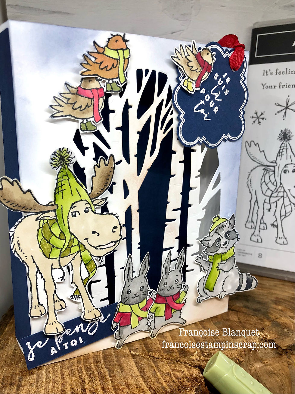 NOVEMBRE CARTE LUMINEUSE avec "ALL BUNDLED UP" ATELIERS STAMPIN'UP! OISE 60530