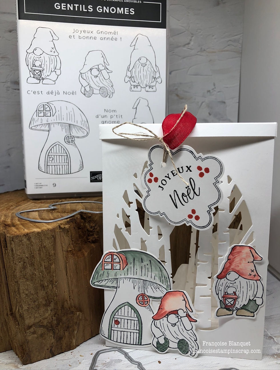 DÉCEMBRE UNE BOITE LUMINEUSE avec " LES GENTILS GNOMES"  ET LE LOT "PEUPLIERS / ALL BUNDLED UP" ATELIERS STAMPIN'UP! OISE 60530