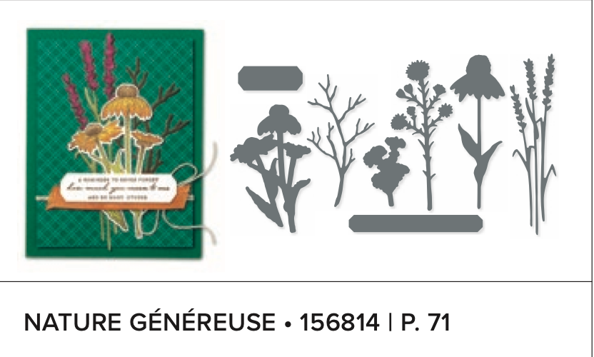 A choisir un lot Stampin'Up! soit "nature généreuse " valeur 63,75 €
