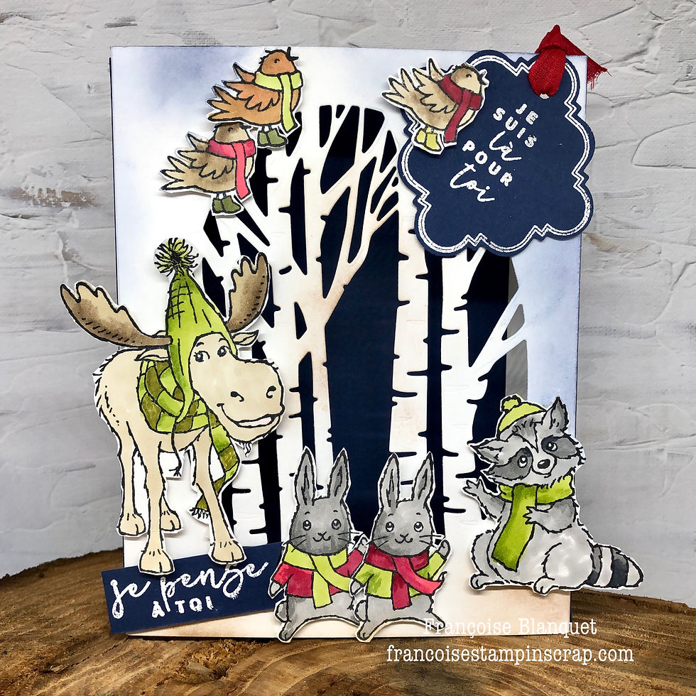 NOVEMBRE CARTE LUMINEUSE avec "ALL BUNDLED UP" ATELIERS STAMPIN'UP! OISE 60530