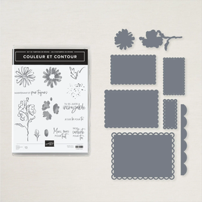Pleins feux sur Couleur et contour / Color & Contour Bundle from Stampin’ Up!