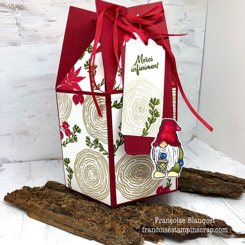 ATELIER BOITE HEXAGONALE AVEC PRODUITS STAMPIN'UP! POUR MON HOTESSE DANS L'OISE