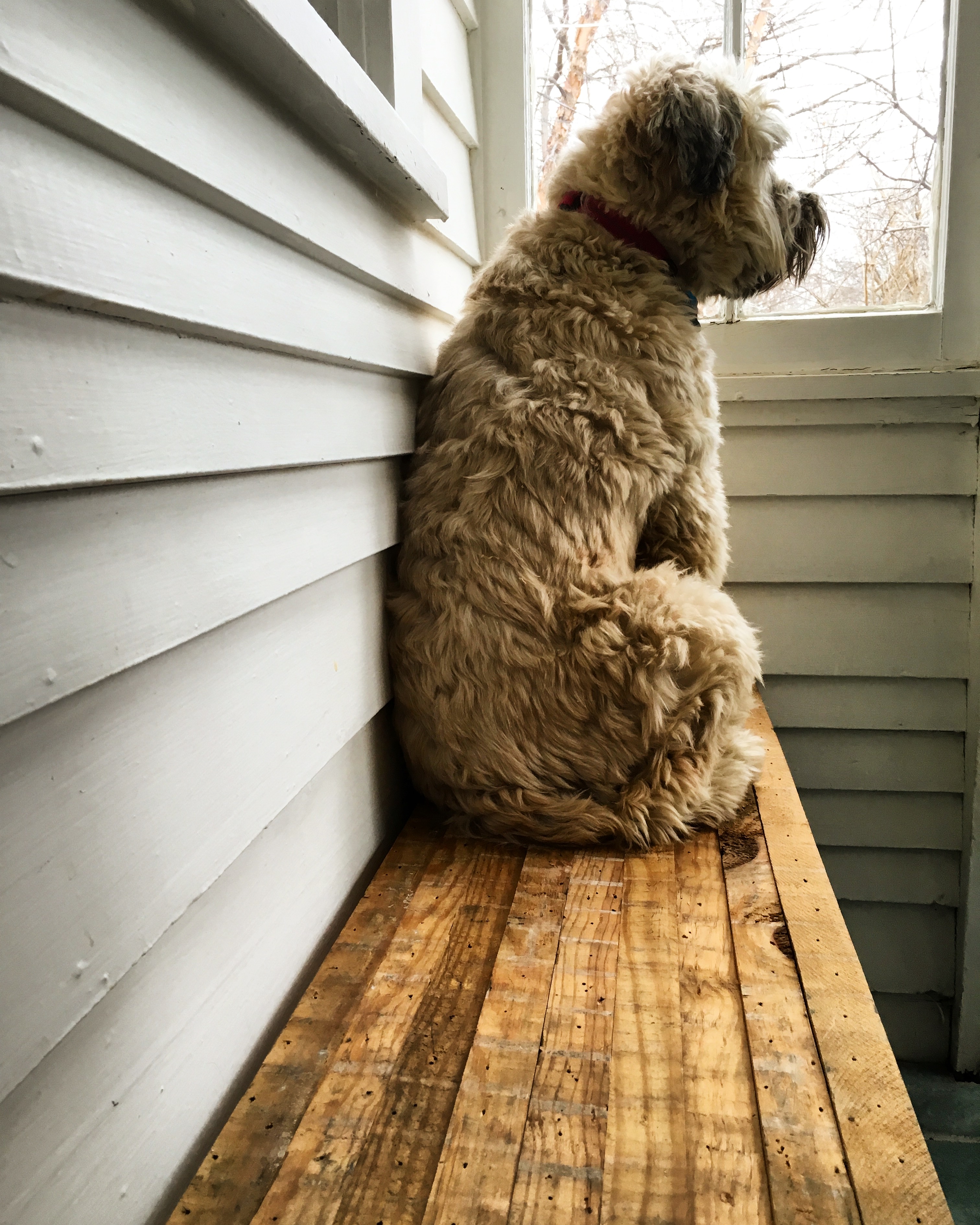 Mud Room Bench