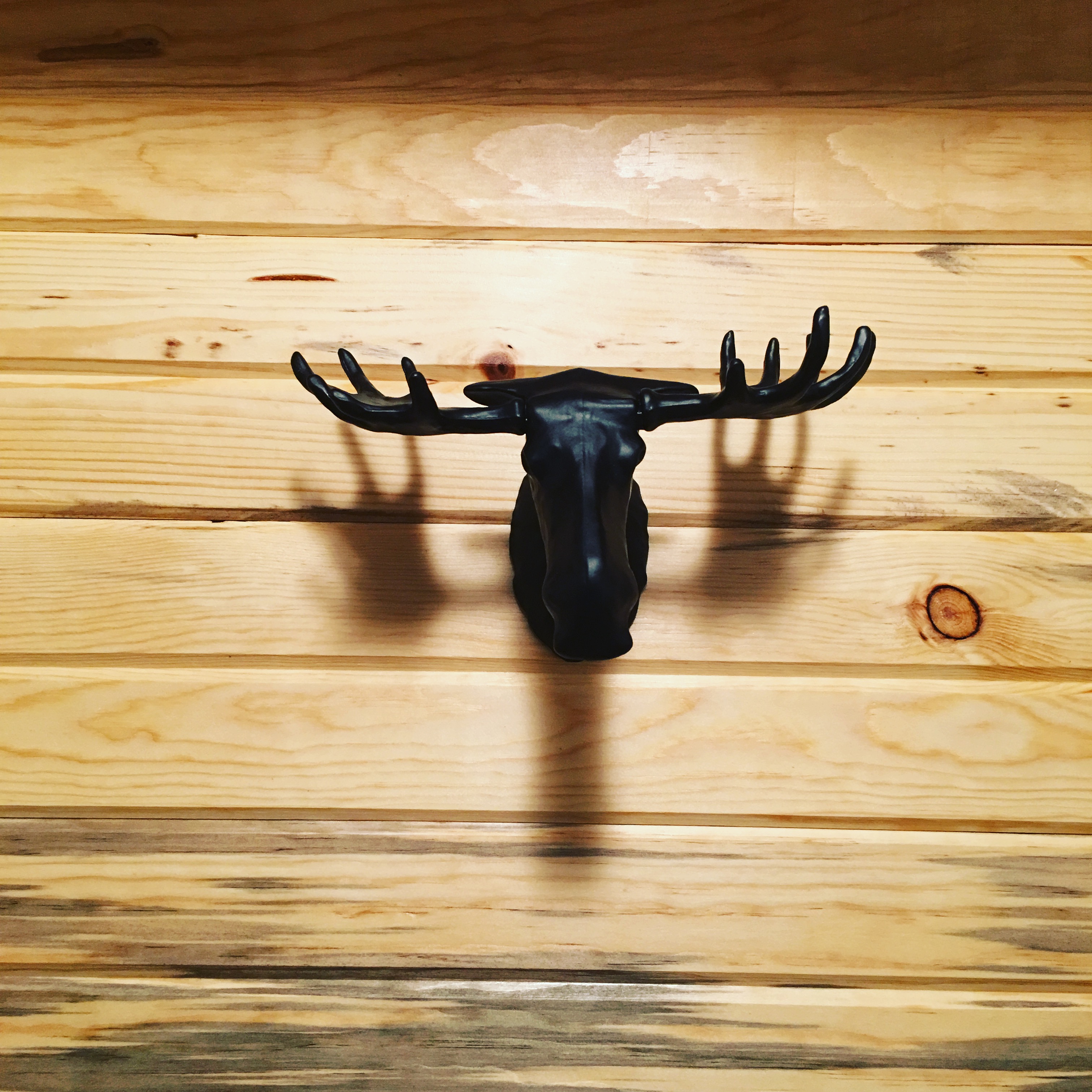 Moose Coat hanger